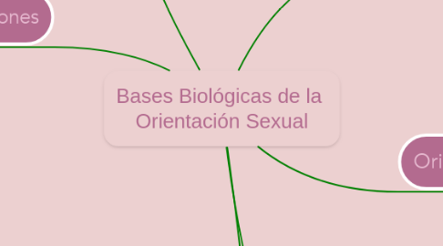 Mind Map: Bases Biológicas de la  Orientación Sexual