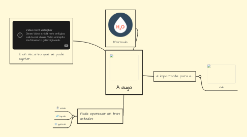 Mind Map: A auga