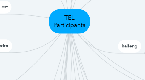 Mind Map: TEL Participants