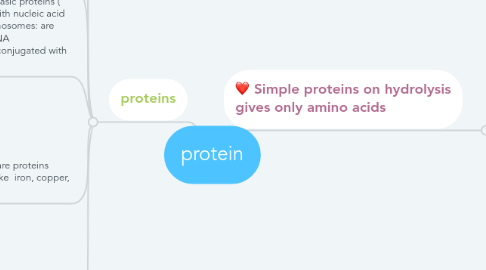 Mind Map: protein