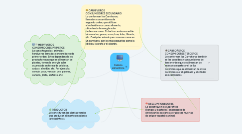 Mind Map: Cadena alimenticia