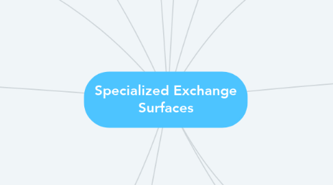 Mind Map: Specialized Exchange Surfaces