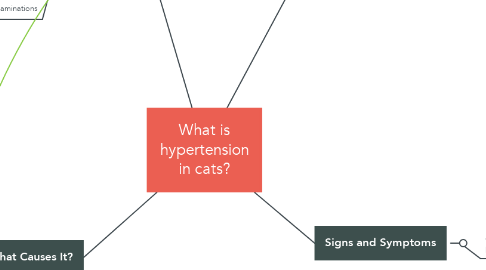 Mind Map: What is hypertension in cats?