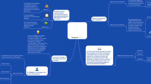 Mind Map: Percepción