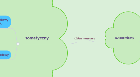 Mind Map: Układ nerwowy