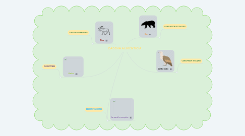 Mind Map: CADENA ALIMENTICIA