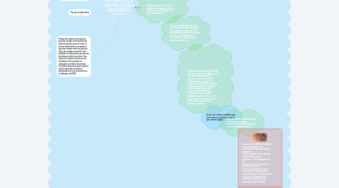 Mind Map: TIPO DE CAMBIO operación de tipo de cambio, cada una de las partes se compromete a pagar a la otra, una determinada cantidad de moneda, en una fecha acordada