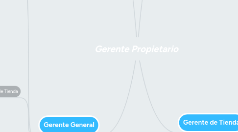 Mind Map: Gerente Propietario