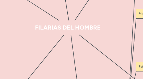 Mind Map: FILARIAS DEL HOMBRE