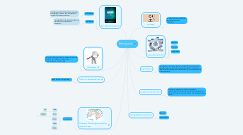 Mind Map: Percepción