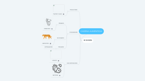 Mind Map: CADENA ALIMENTICIA