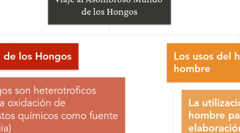 Mind Map: Viaje al Asombroso Mundo de los Hongos