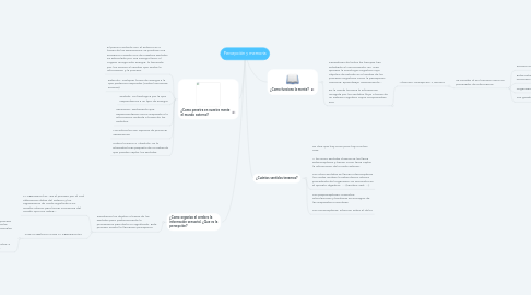 Mind Map: Percepción y memoria