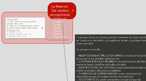 Mind Map: La Relacion  Del cerebro percepciones.