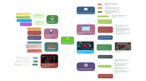 Mind Map: "Las relaciones del cerebro con las percepciones"