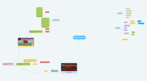 Mind Map: Muscular System