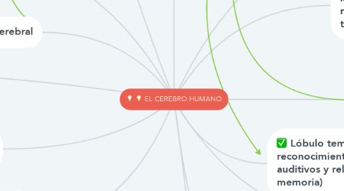 Mind Map: EL CEREBRO HUMANO