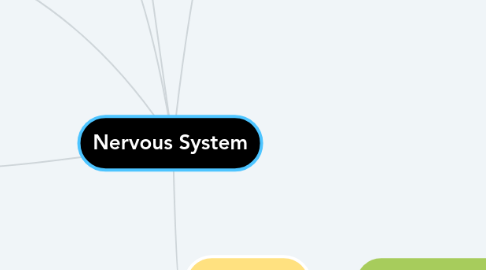 Mind Map: Nervous System