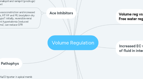 Mind Map: Volume Regulation