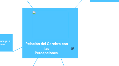 Mind Map: Relación del Cerebro con las Percepciones.