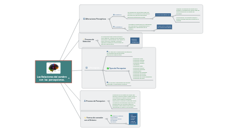 Mind Map: Las Relaciones del cerebro con  las  percepciones.