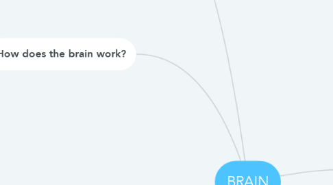 Mind Map: BRAIN