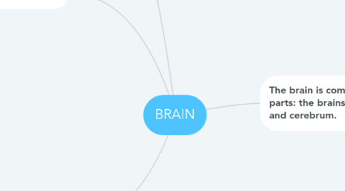 Mind Map: BRAIN