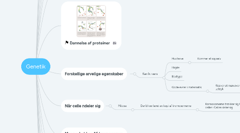 Mind Map: Genetik