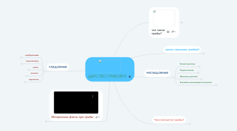 Mind Map: ЦАРСТВО ГРИБОВ!!!!