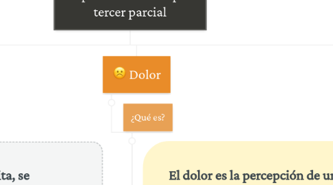 Mind Map: Mapa mental conceptos tercer parcial