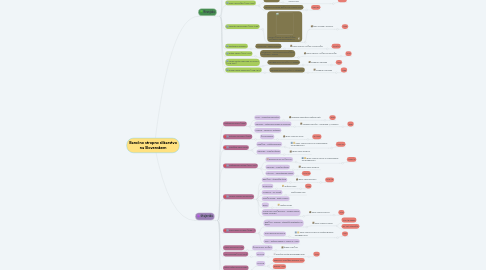 Mind Map: Baročno stropno slikarstvo na Slovenskem