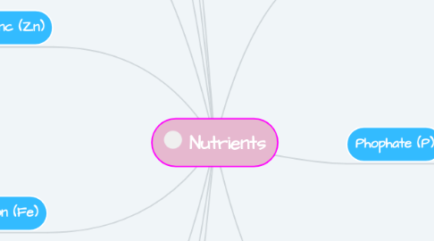Mind Map: Nutrients