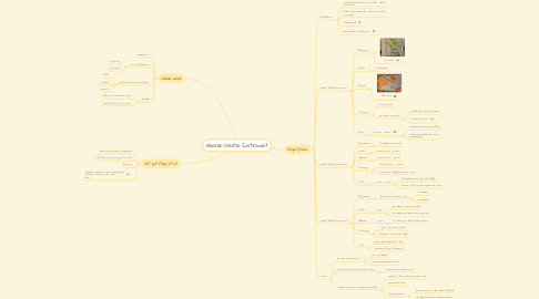 Mind Map: Waarde-Creatie-Instrument