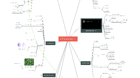 Mind Map: התא לבגרות 2017