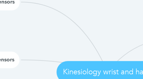 Mind Map: Kinesiology wrist and hand