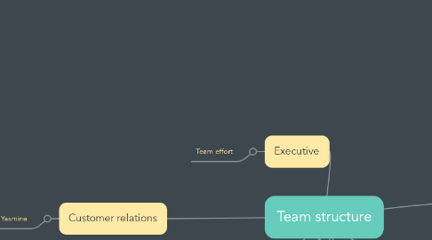 Mind Map: Team structure