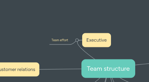 Mind Map: Team structure