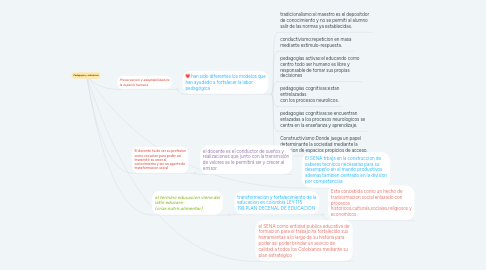 Mind Map: Pedagogia y  educacion