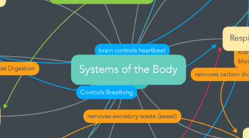 Mind Map: Systems of the Body
