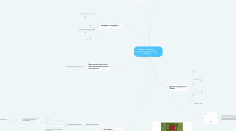 Mind Map: Asignatura Química : Contaminación del medio ambiente