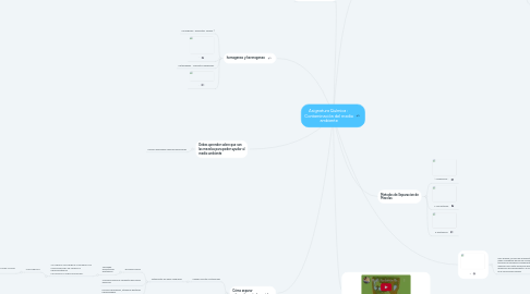 Mind Map: Asignatura Química :  Contaminación del medio ambiente