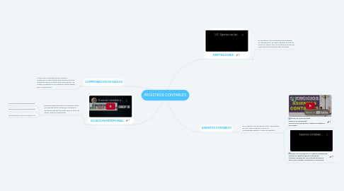 Mind Map: REGISTROS CONTABLES