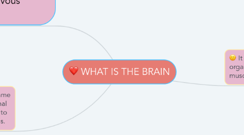 Mind Map: WHAT IS THE BRAIN