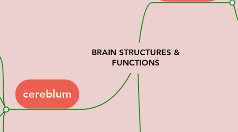 Mind Map: BRAIN STRUCTURES & FUNCTIONS