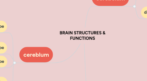 Mind Map: BRAIN STRUCTURES & FUNCTIONS