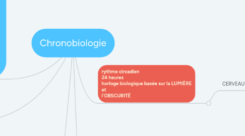 Mind Map: Chronobiologie