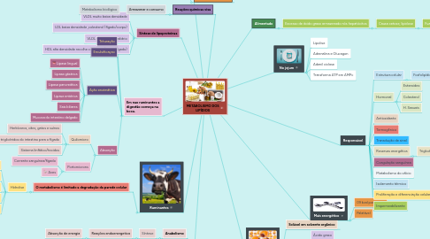 Mind Map: METABOLISMO DOS LIPÍDIOS