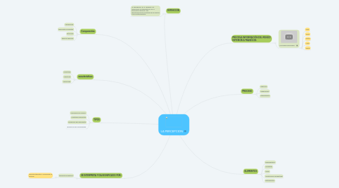 Mind Map: LA PERCEPCION