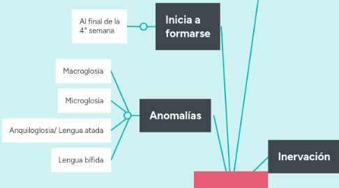 Mind Map: Lengua