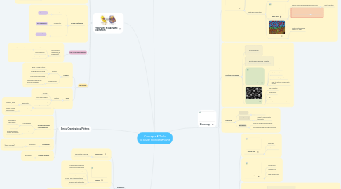 Mind Map: Concepts & Tools to Study Microorganisms